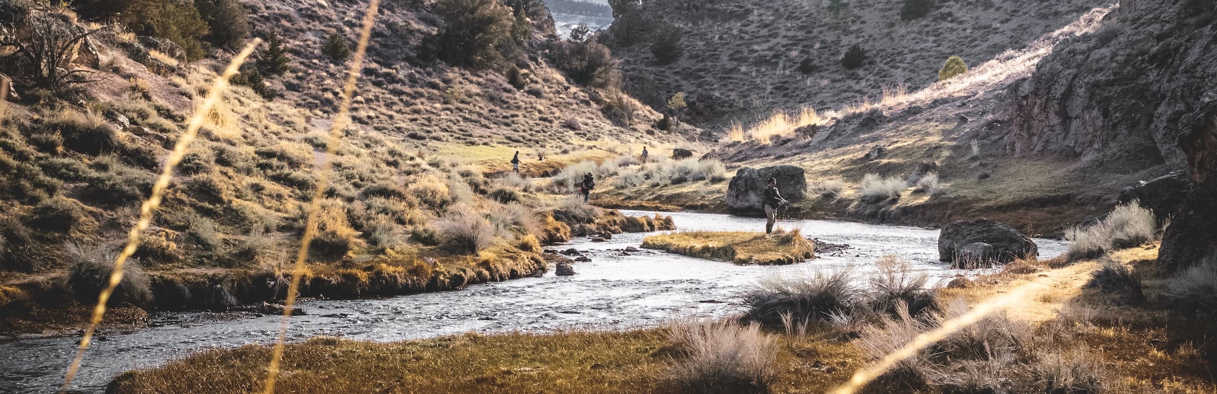 fly anglers on a stream